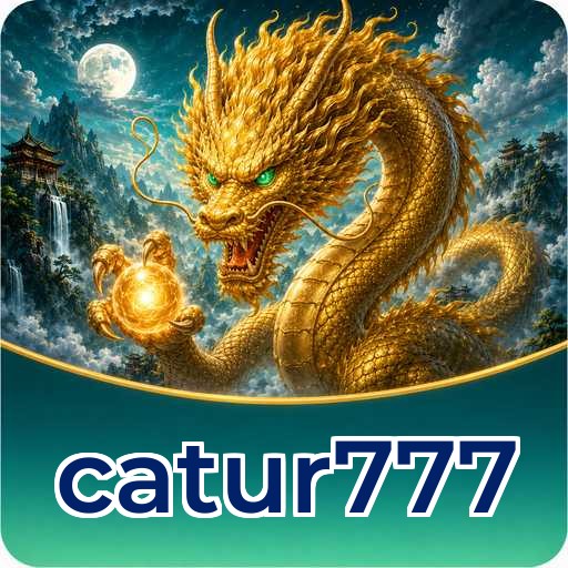 Developer Info catur777